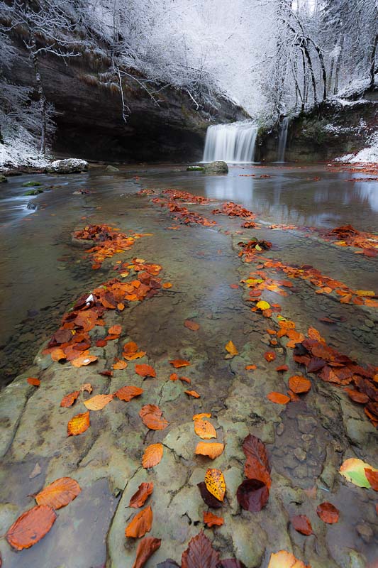 Suspended between autumn and winter.JPG