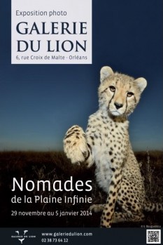 1157-1384815581-nomades-plaine-infinie-affiche---465fx349f.jpg