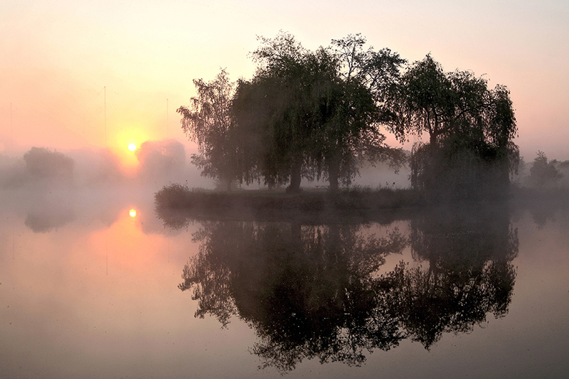 matin brumeux.jpg