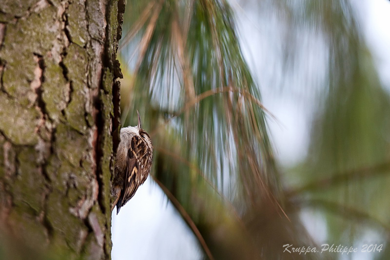 2 Sieste verticale-3.jpg