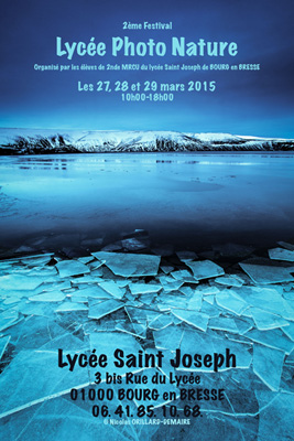 LPN 2015 Affiche.jpg