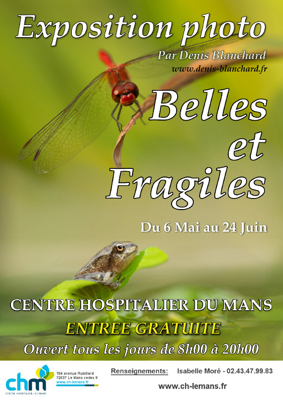 affiche-belles-et-fragiles-chm - Copie.jpg