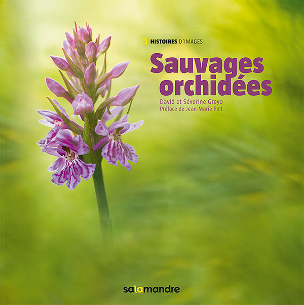 couv_SauvagesOrchidees_600px.jpg