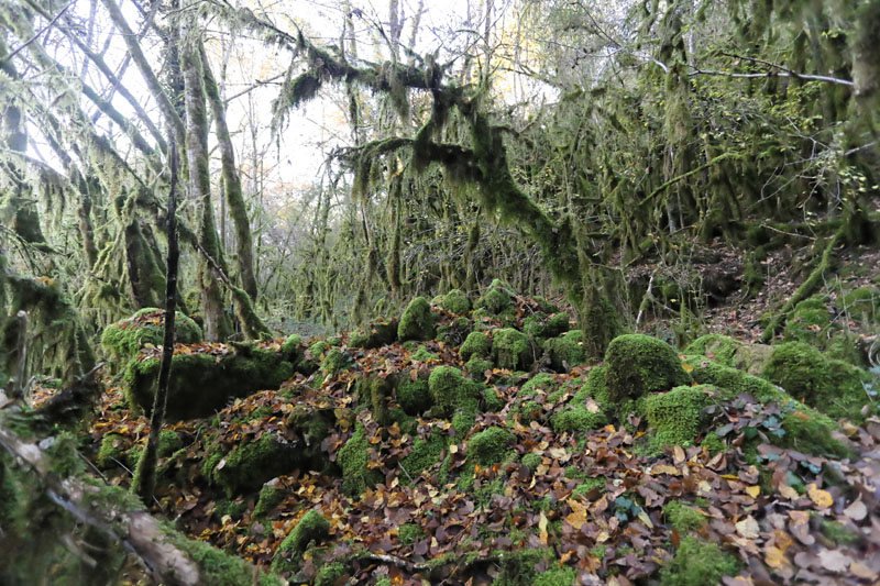 BUGEY AUTOMNE 0032.jpg