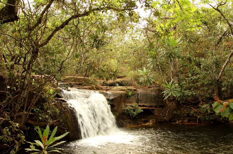 62 Chapada dos Guimaraes.jpg