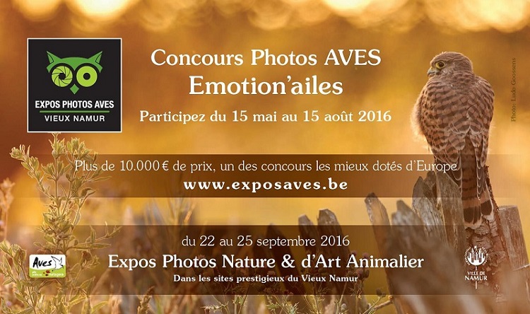 Encadré annonce concours 2016.jpg