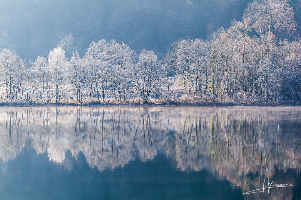 décembre 2016.jpg