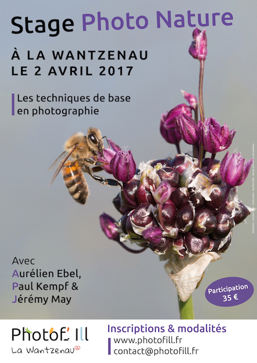 Affiche_Stage_Photo_Avril2017_web.jpg