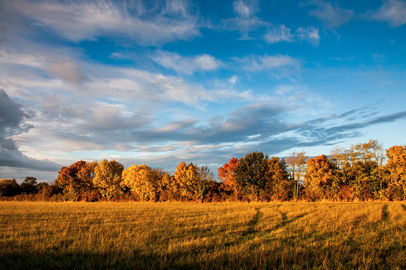 Couleur d'automne.jpg