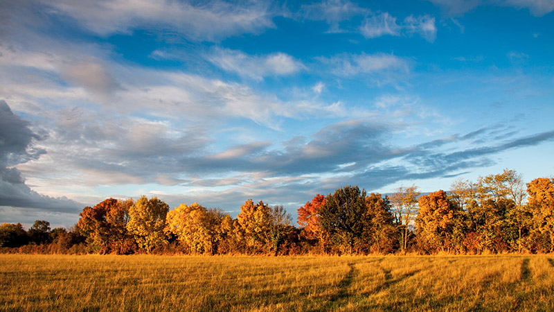 Couleur d'automne.jpg