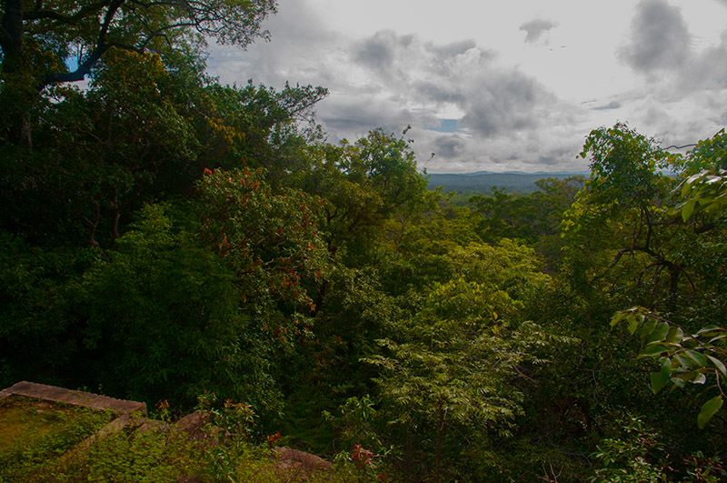 14-forêts de montagnes.jpg