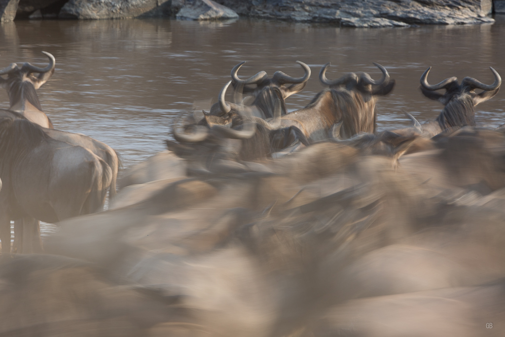 Crossing sur la Mara-1.jpg