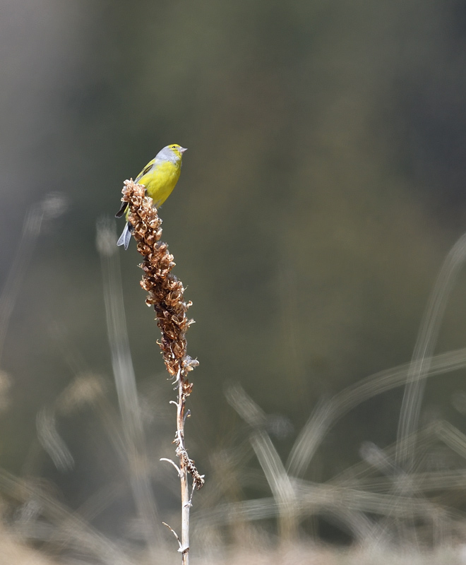 DS5_0912.jpg