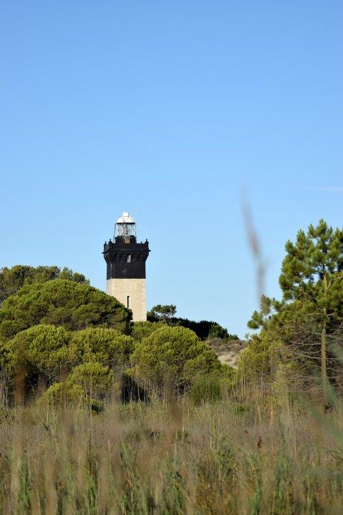 port camargue (412).jpg