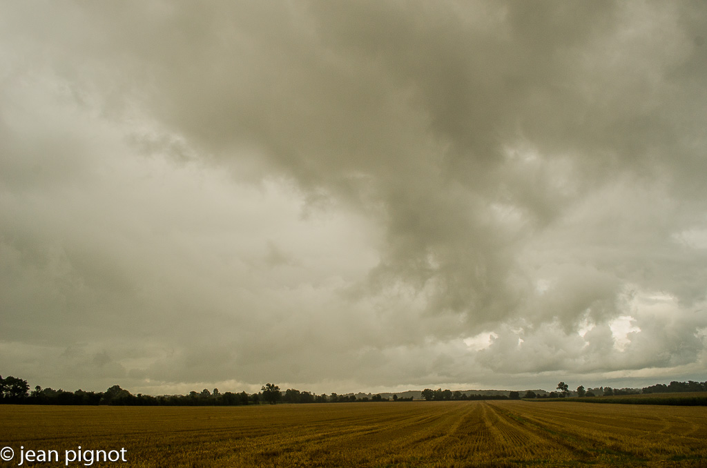 paysage de plaine aout.jpg