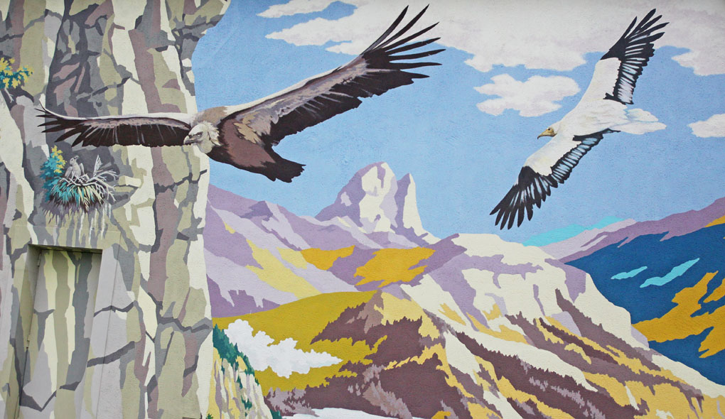 37 falaise vautours image env.jpg