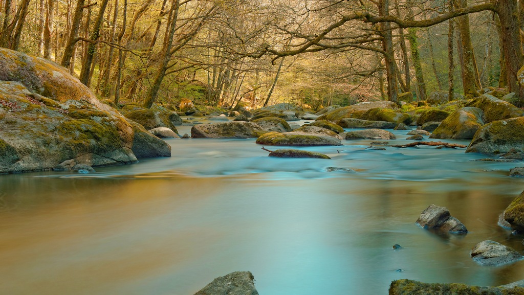 torrent dans la creuse.jpg