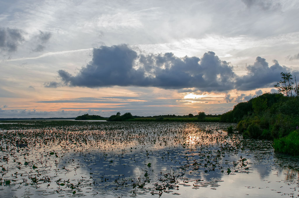 44-LAC-DE-GRANDLIEU-ST-AIGNAN-DE-GRANDLIEU-PIERRE-AIGUE-20170816_DxO-1-2.jpg