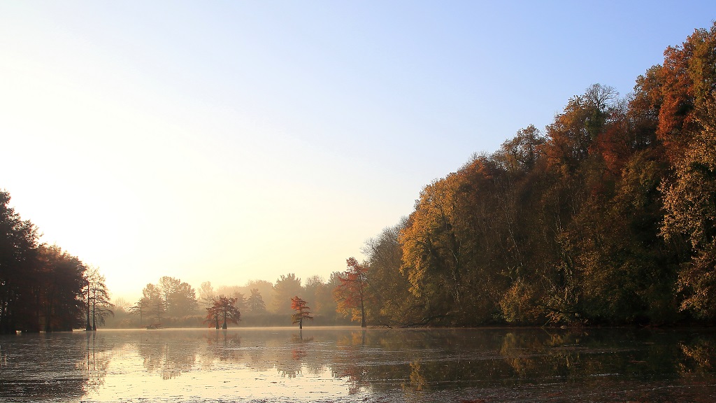 3 Vue d'ensemble et brume du matin.jpg