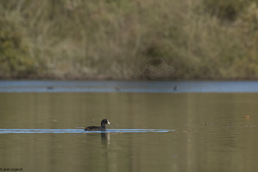 etang besnard 11-2017-2.JPG