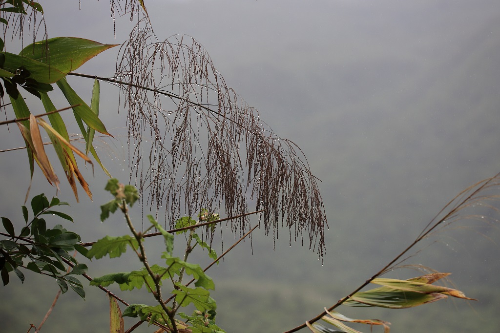 06 Humidité en montagne.jpg