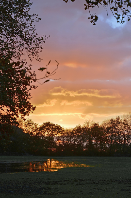 44-LAC-DE-GRANDLIEU-20131130_0_DxO-2.jpg