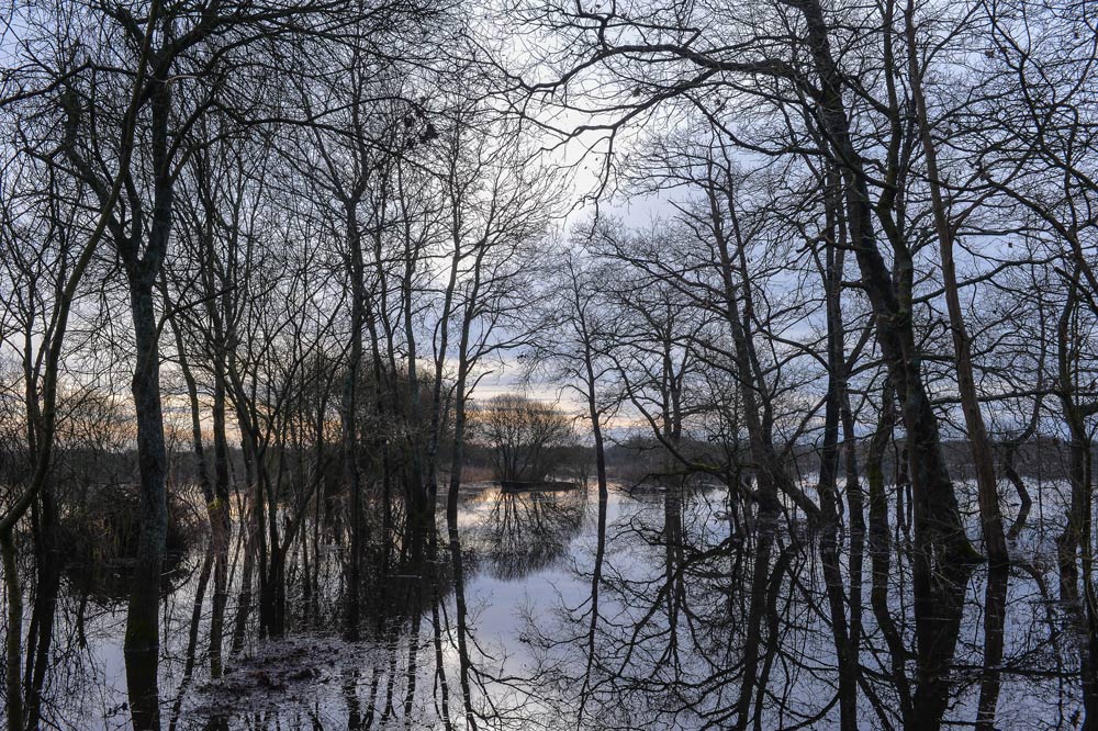 44-LAC-DE-GRANDLIEU-20170117-ST-MARC-DE-COUTAIS-(2)_DxO-2.jpg