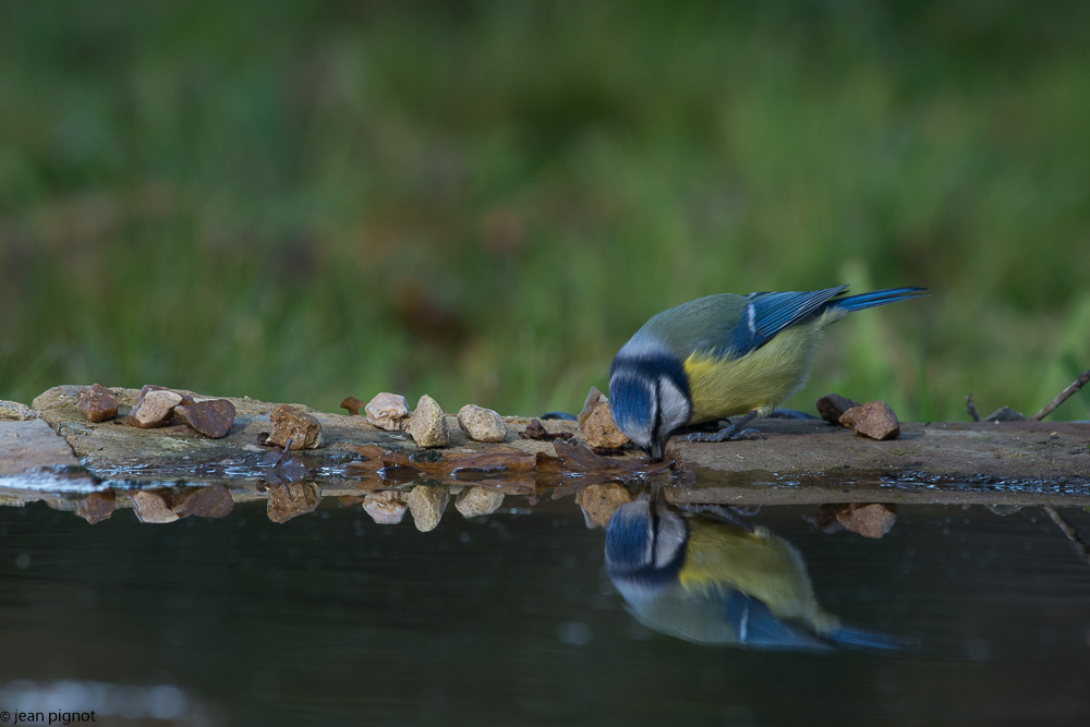 drink en hivers-2.JPG