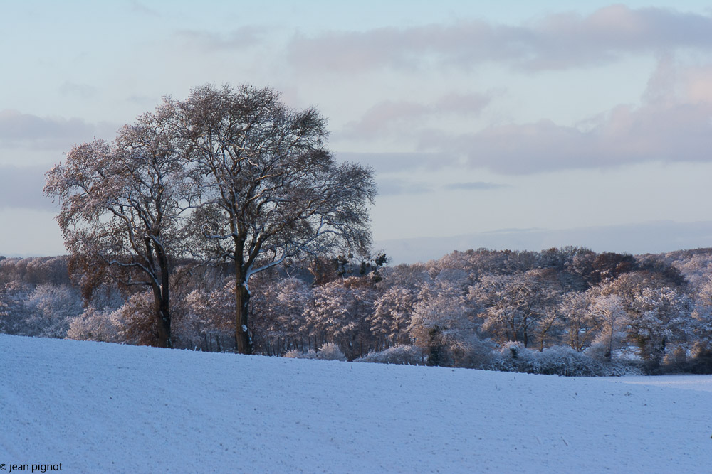 divers neige11 2017-3.JPG