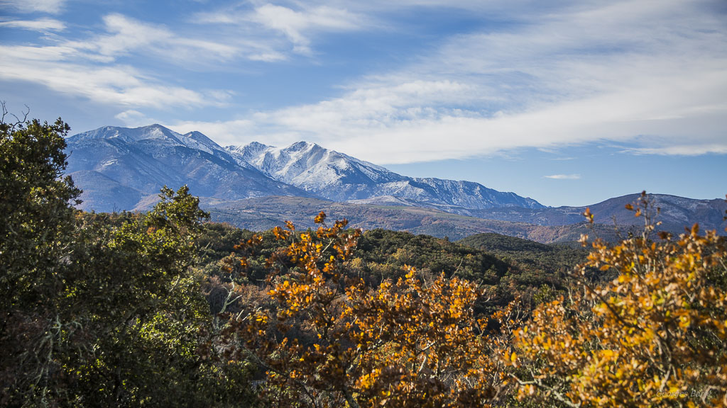 Canigou première neige-115.jpg