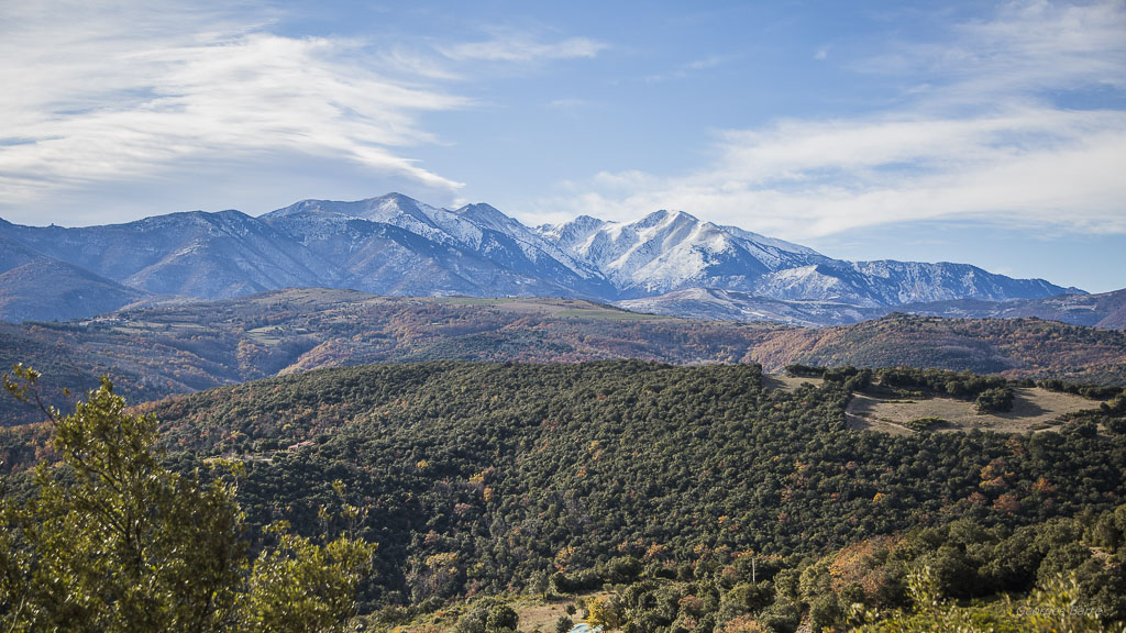 Canigou première neige-117.jpg