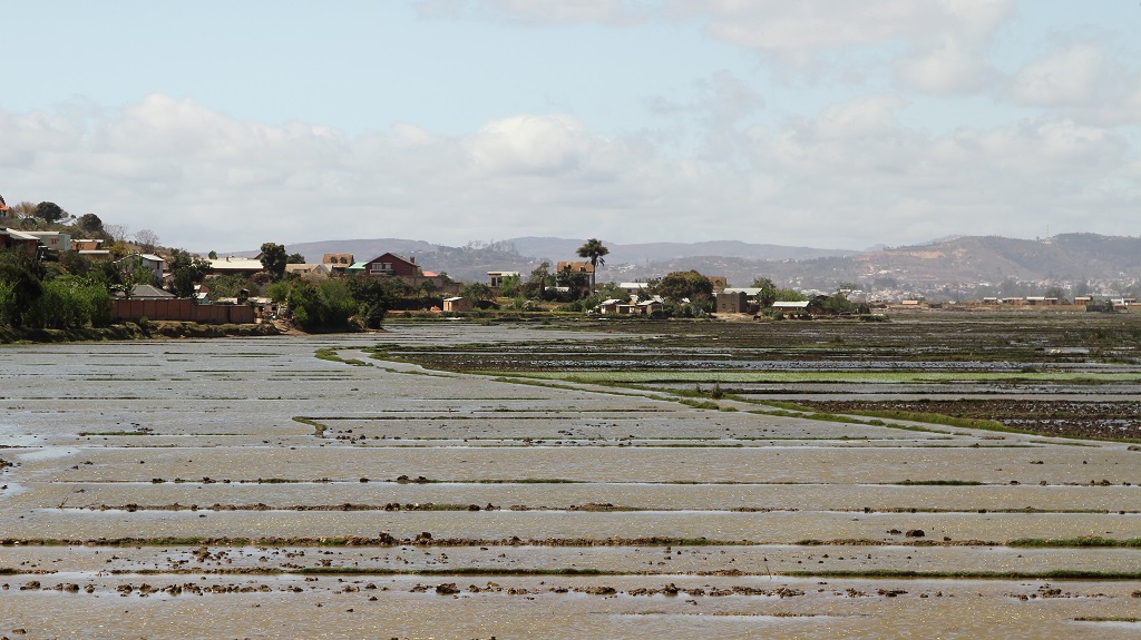 06 Environs de Tananarive.jpg