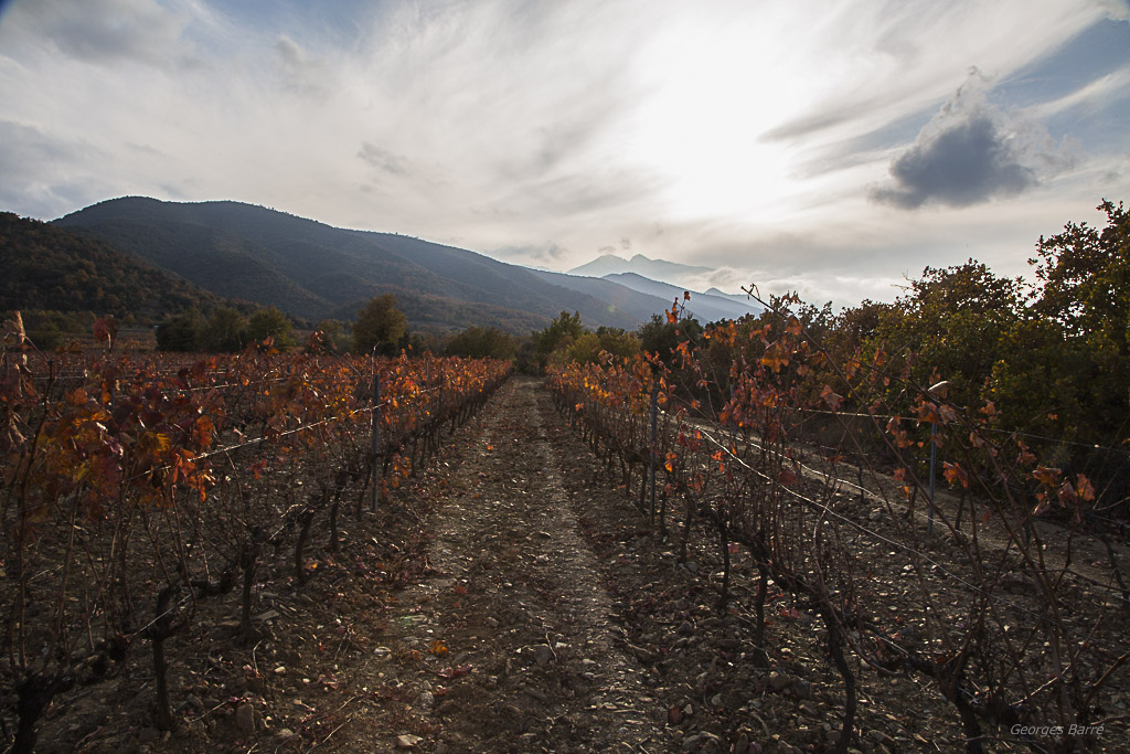 Canigou sans neige-3.jpg