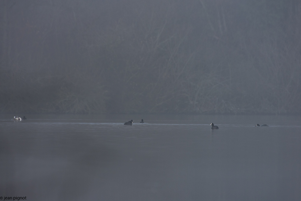 etang benard 12 2017.JPG