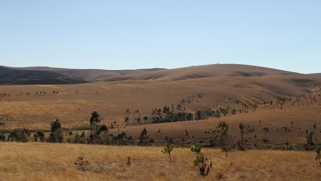 56 Paysage de l'est du pays.jpg