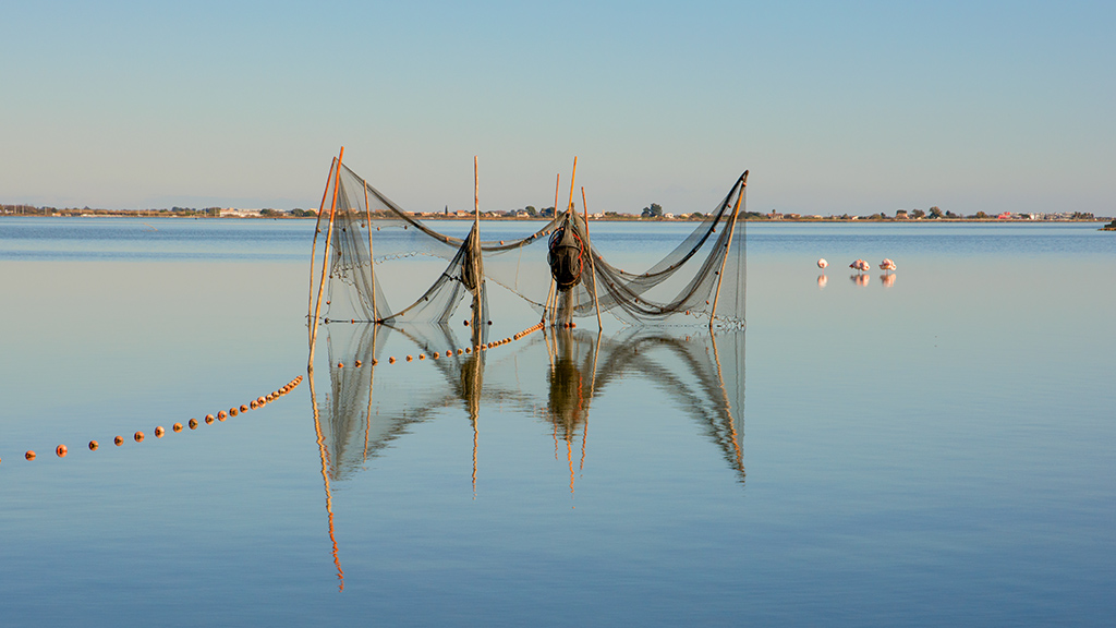 10-Etang en Occitanie..jpg