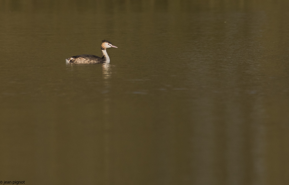 etang besnard 1 2018-5.jpg