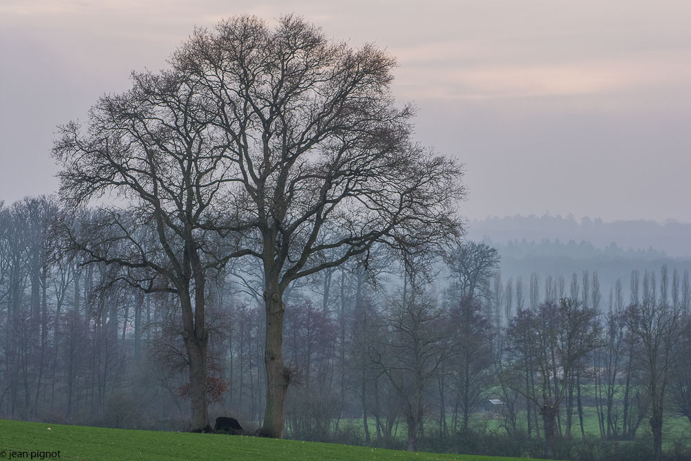 paysage billebeaude1 2018.jpg