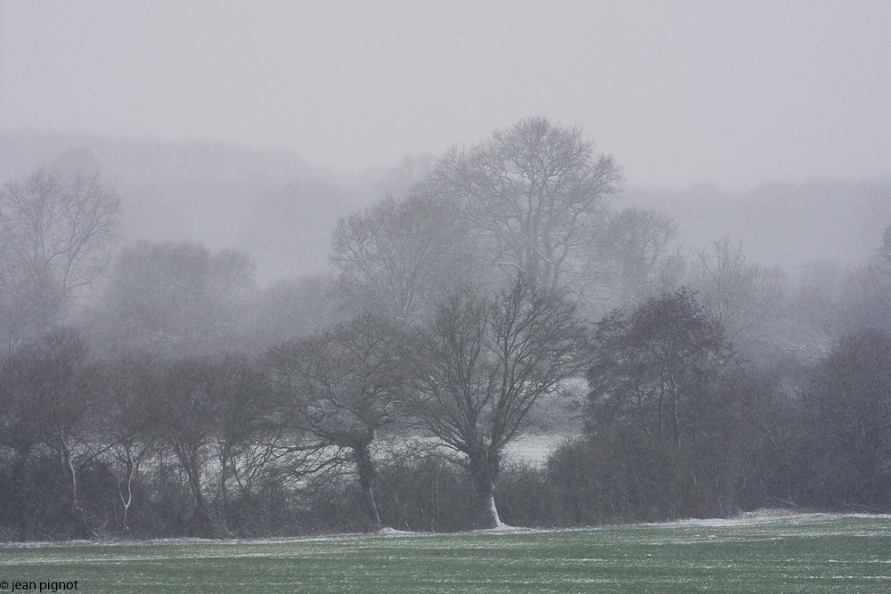 paysage de neige-2-2018-6.jpg