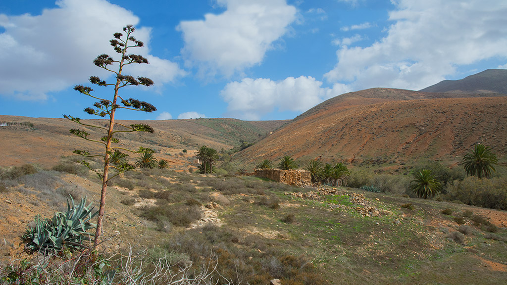 39-Un barranco.jpg