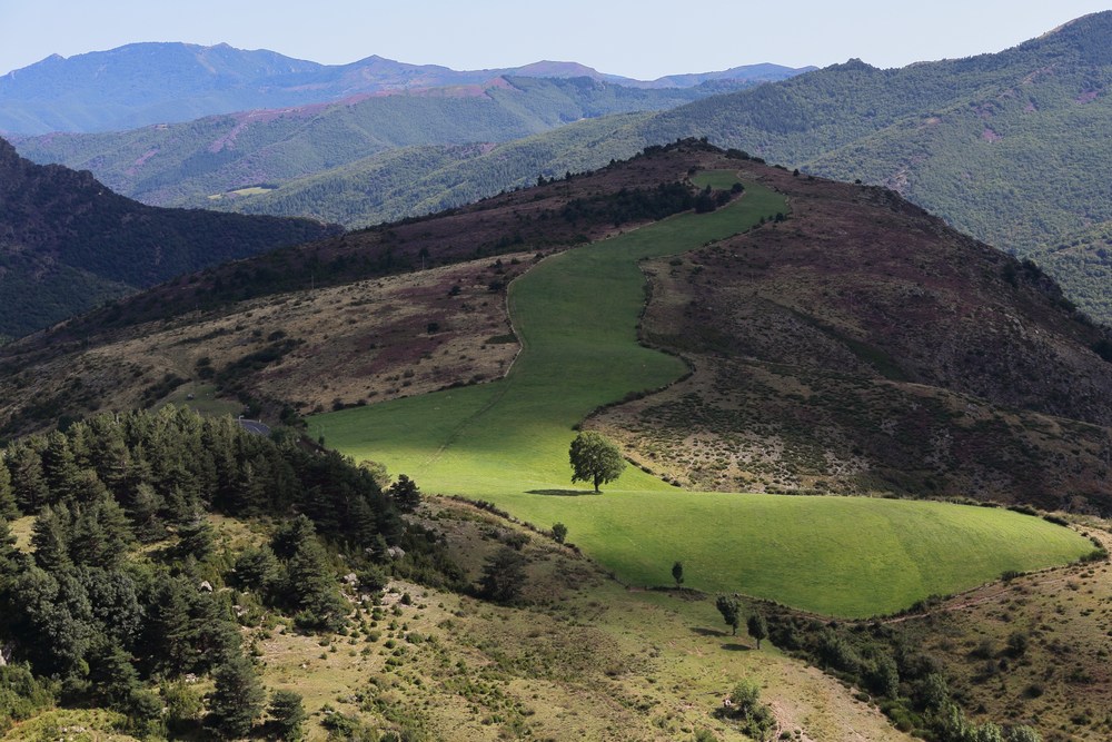 Ombre et lumière en Cévennes.jpg