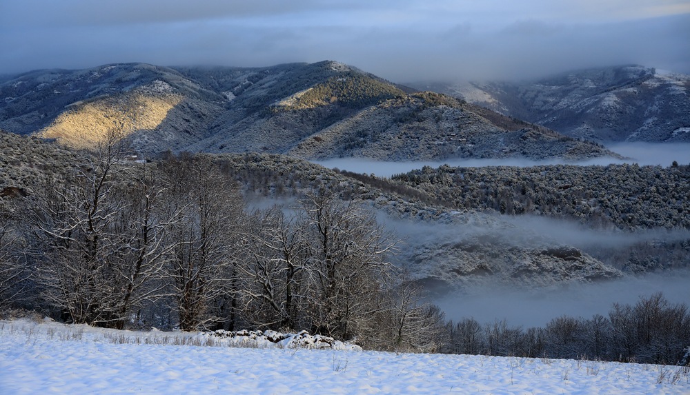 paysage cévenol.jpg