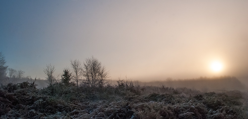 concour image et nature.jpg