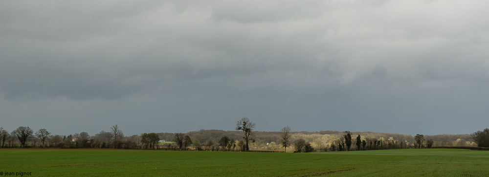 ombres et lumiéres de plaine 03 2018.jpg