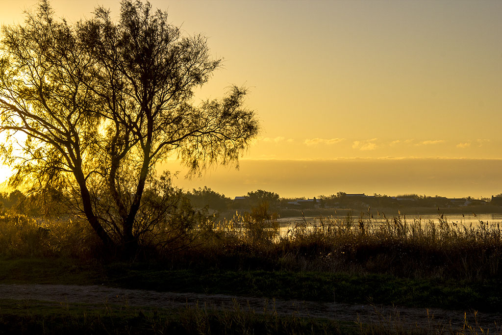 Image et Nature Paysage AD.jpg