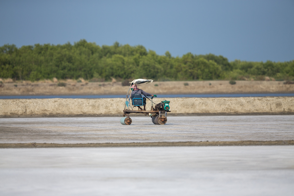 Salt pans 2018-03 Pak Thale-3.jpg