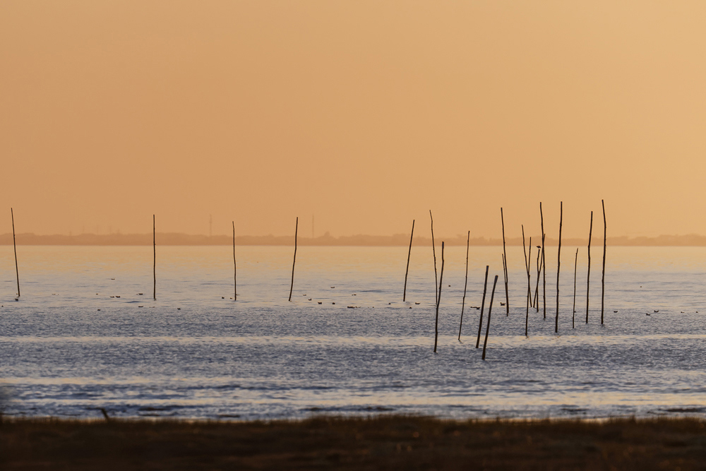 85-BOUIN-LE-PORT-DES-CHAMPS-20180417.jpg