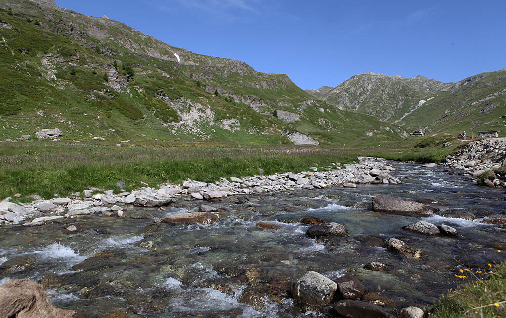 Clarée au refuge  des Drayères 3 IN.jpg