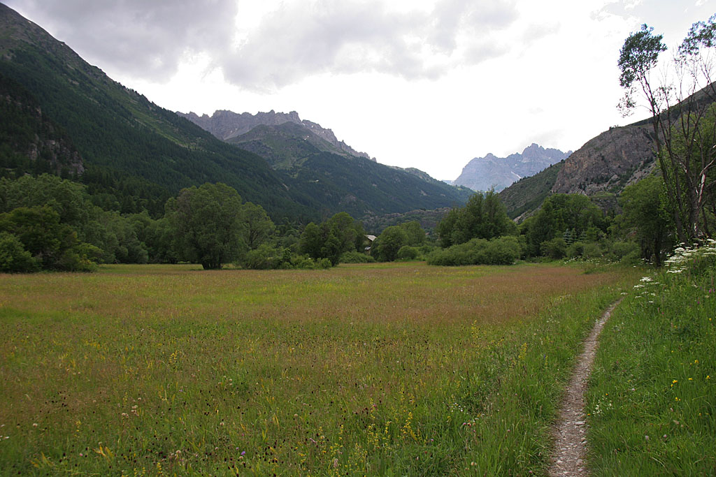 Prairie de fauche 2 Névache IN.jpg