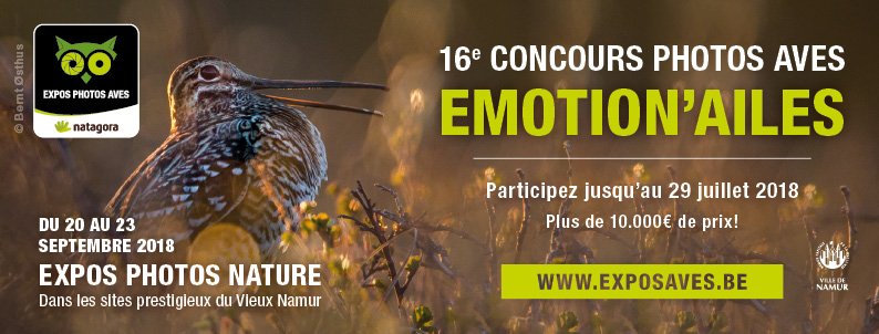 FR -EmotionAiles2.jpg